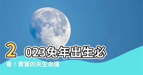 2023水兔寶寶|【2023兔年出生】2023兔年出生！必看三大水命兔性格分析與出。